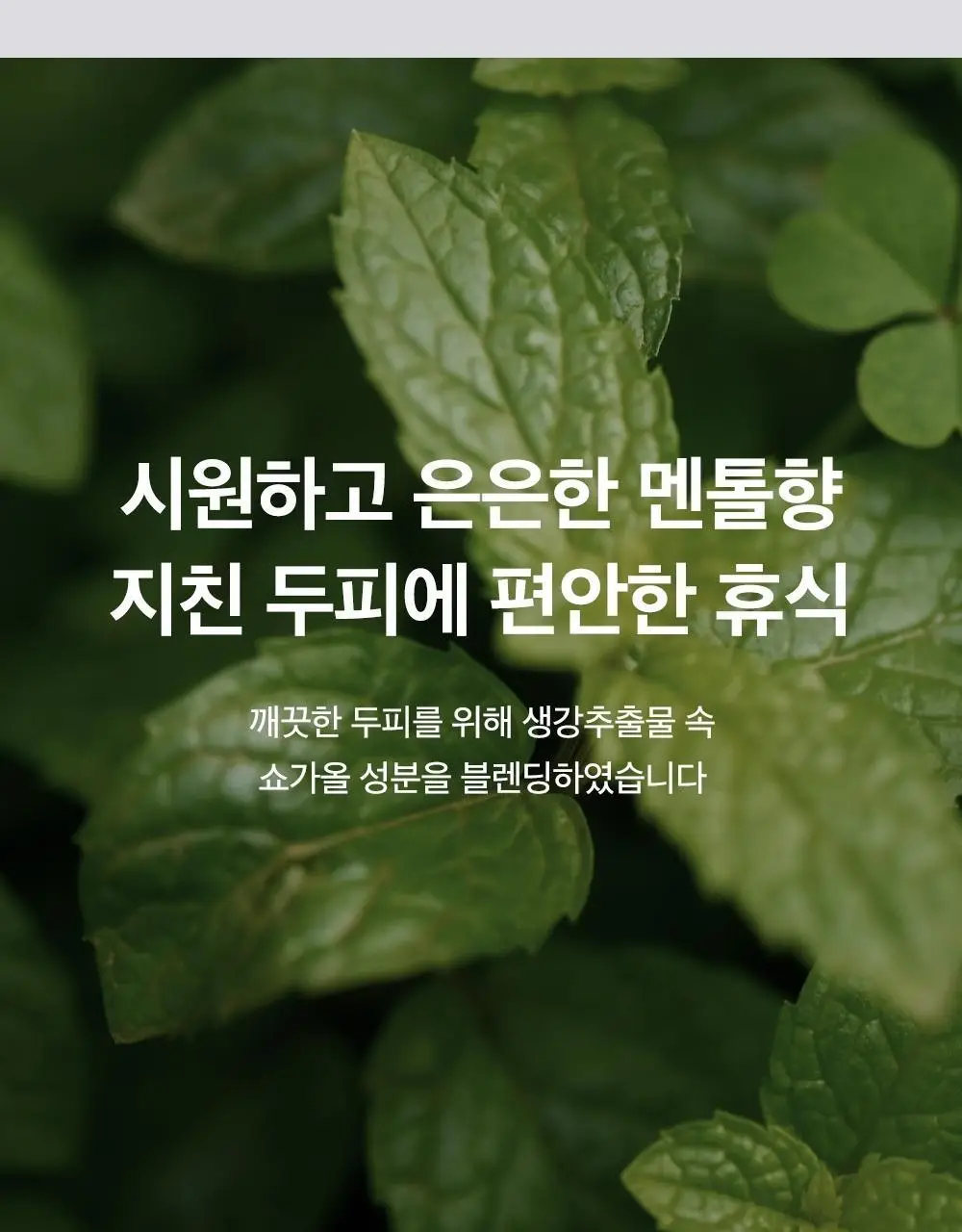 [한/중/미 특허] 리필드 사이토카인 탈모앰플 이펙터 15ml 상세페이지 23